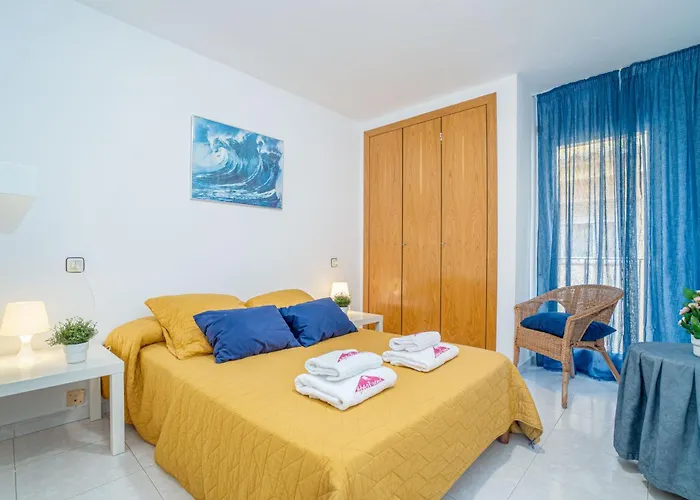 Basic Comfort Gran Reserva Lluna 0053 Appartamento
